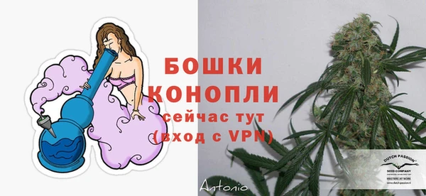 твердый Елабуга