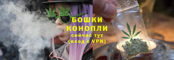 твердый Елабуга