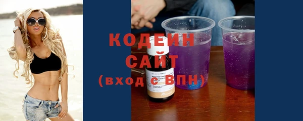 МДПВ Елизово