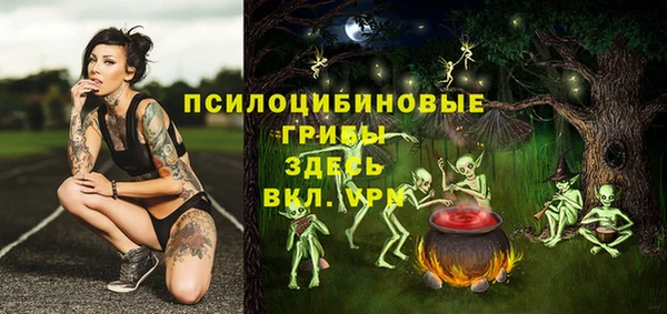 твердый Елабуга