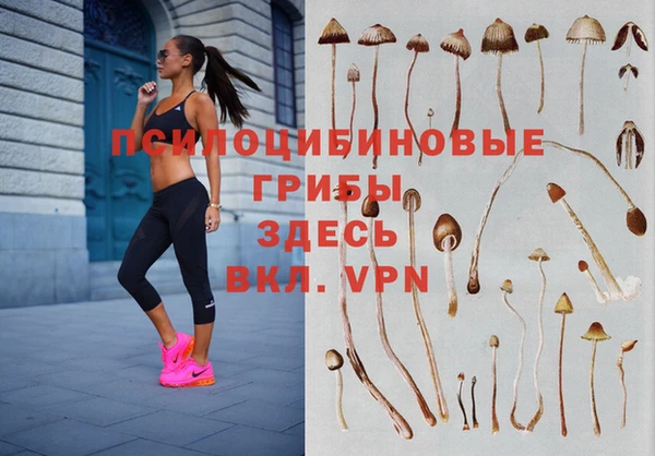 каннабис Ельня